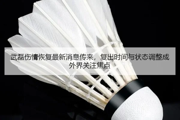 武磊伤情恢复最新消息传来，复出时间与状态调整成外界关注焦点